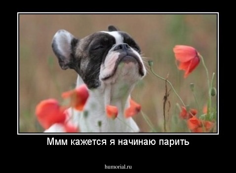 Ммм кажется я начинаю парить