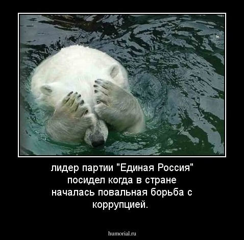 лидер партии "Единая Россия" посидел когда в стране началась повальная борьба с коррупцией. 