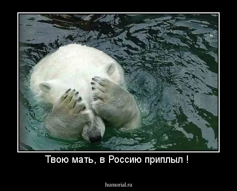 Твою мать, в Россию приплыл ! 