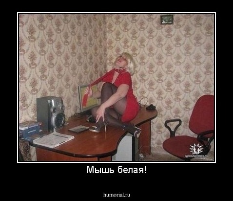 Мышь белая!