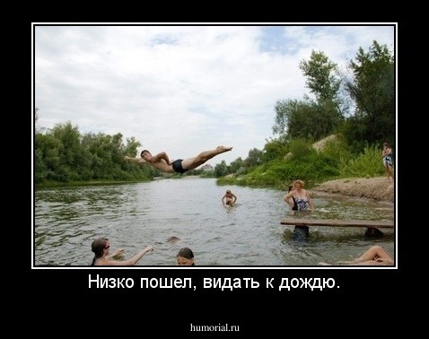 Низко пошел, видать к дождю.