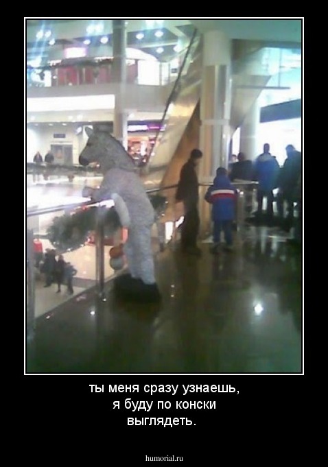 ты меня сразу узнаешь, я буду по конски выглядеть.