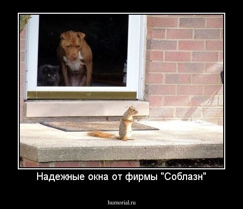 Надежные окна от фирмы "Соблазн"