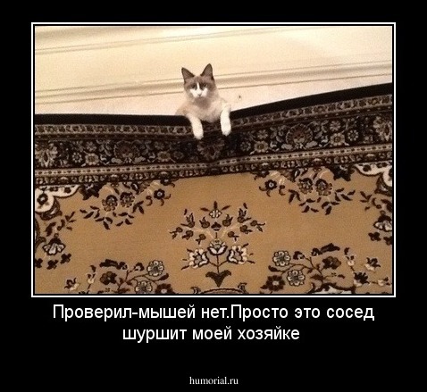 Проверил-мышей нет.Просто это сосед шуршит моей хозяйке