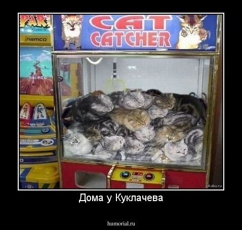 Дома у Куклачева