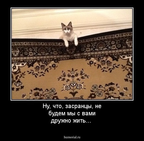 Ну, что, засранцы, не будем мы с вами дружно жить...