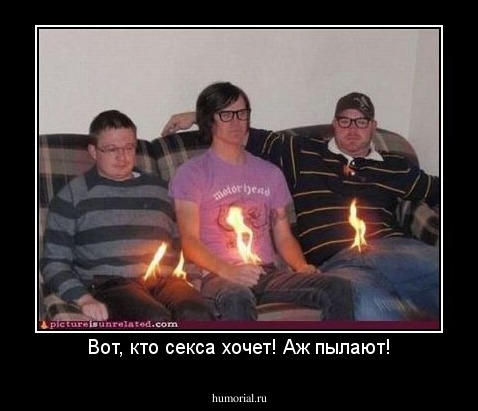 Вот, кто секса хочет! Аж пылают!