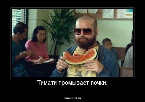 Тимати промывает почки.