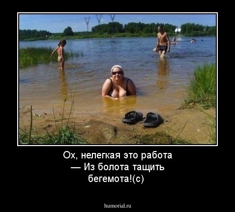 Ох, нелегкая это работа — Из болота тащить бегемота!(с)