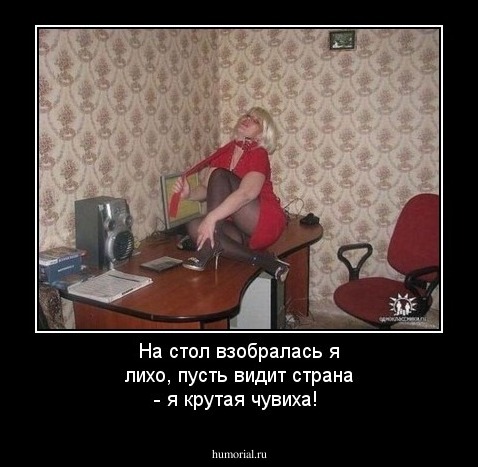 На стол взобралась я лихо, пусть видит страна - я крутая чувиха!