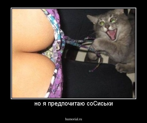 но я предпочитаю соСиськи