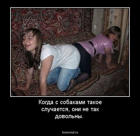 Когда с собаками такое случается, они не так довольны.