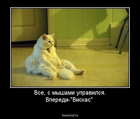 Все, с мышами управился. Впереди-"Вискас"