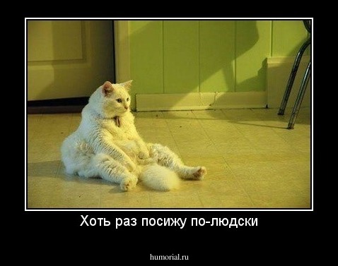 Хоть раз посижу по-людски