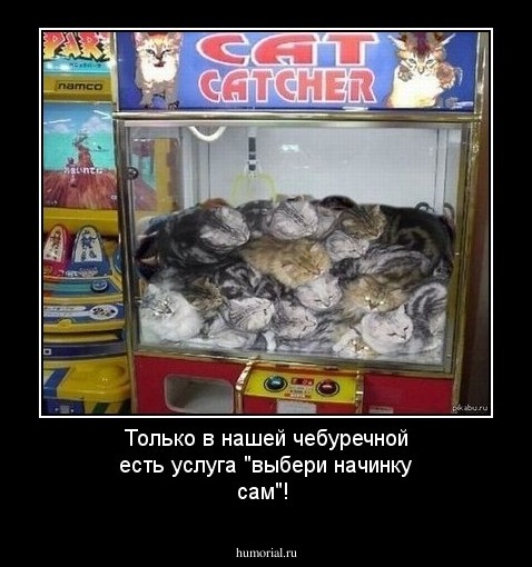Только в нашей чебуречной есть услуга "выбери начинку сам"!
