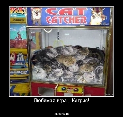 Любимая игра - Кэтрис!