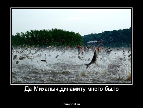 Да Михалыч,динамиту много было