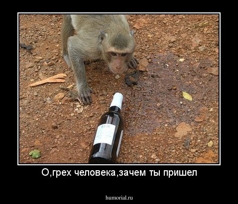 О,грех человека,зачем ты пришел
