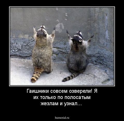 Гаишники совсем озверели! Я их только по полосатым жезлам и узнал...