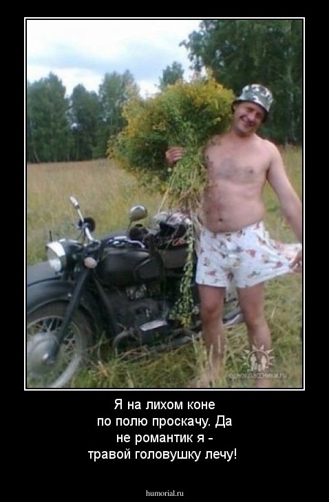 Я на лихом коне по полю проскачу. Да не романтик я - травой головушку лечу!

