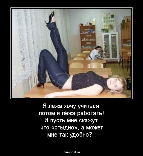 Я лёжа хочу учиться, потом и лёжа работать! И пусть мне скажут, что «стыдно», а может мне так удобно?!