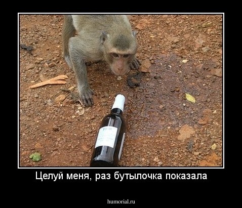Целуй меня, раз бутылочка показала