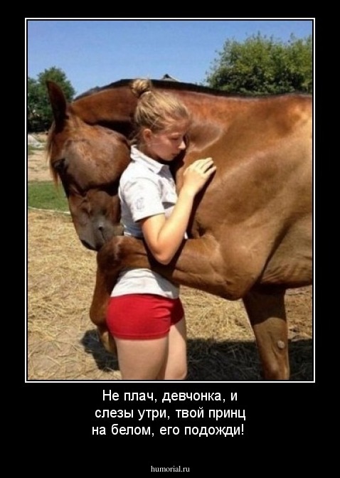 Не плач, девчонка, и слезы утри, твой принц на белом, его подожди!