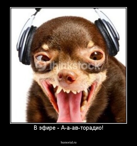 В эфире - А-а-ав-торадио!