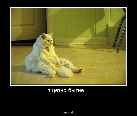 тщетно бытие...
