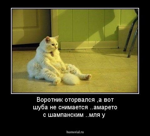 Воротник оторвался ,а вот шуба не снимается ..амарето с шампанским ..мля у