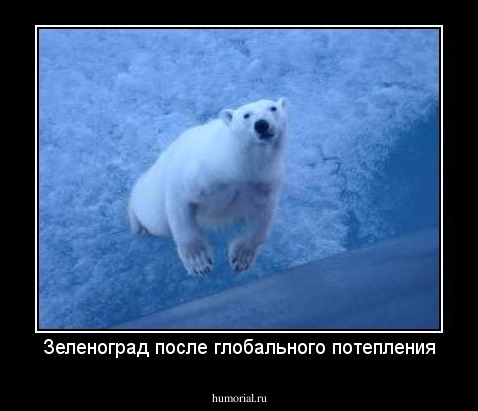 Зеленоград после глобального потепления