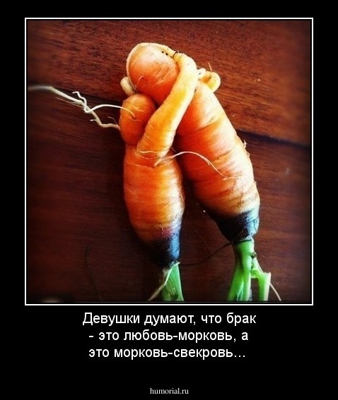 Девушки думают, что брак - это любовь-морковь, а это морковь-свекровь...