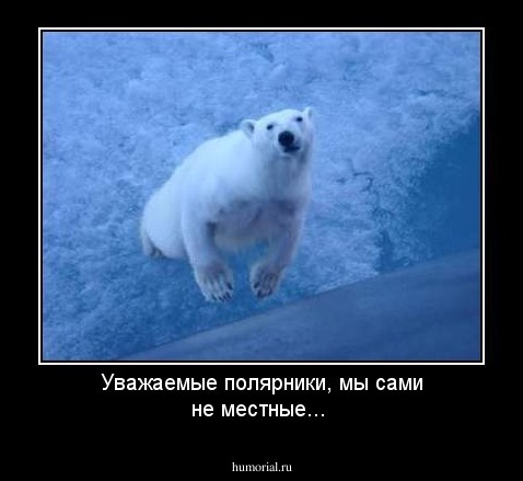 Уважаемые полярники, мы сами не местные...