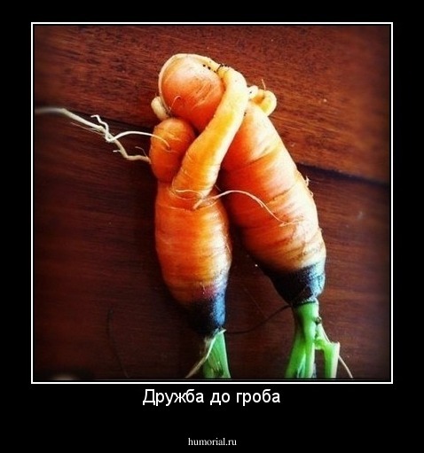 Дружба до гроба
