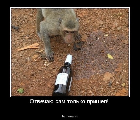 Отвечаю сам только пришел! 