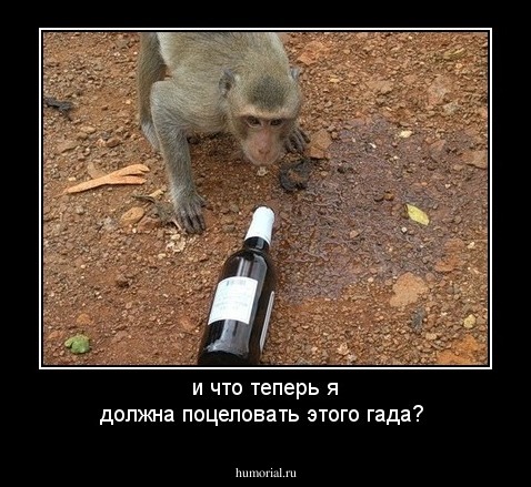 и что теперь я должна поцеловать этого гада?