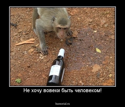 Не хочу вовеки быть человеком!