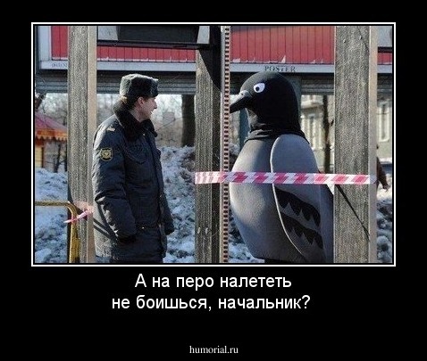 А на перо налететь не боишься, начальник?