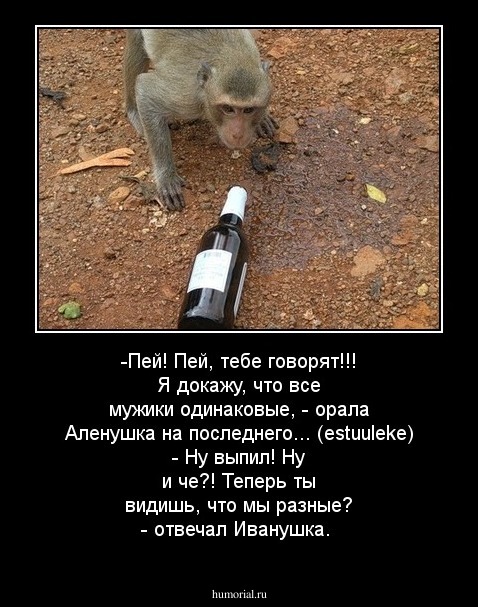 -Пей! Пей, тебе говорят!!! Я докажу, что все мужики одинаковые, - орала Аленушка на последнего... (estuuleke) - Ну выпил! Ну и че?! Теперь ты видишь, что мы разные? - отвечал Иванушка.