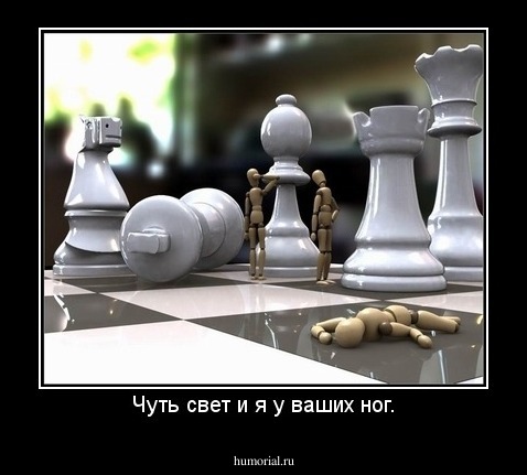 Чуть свет и я у ваших ног.