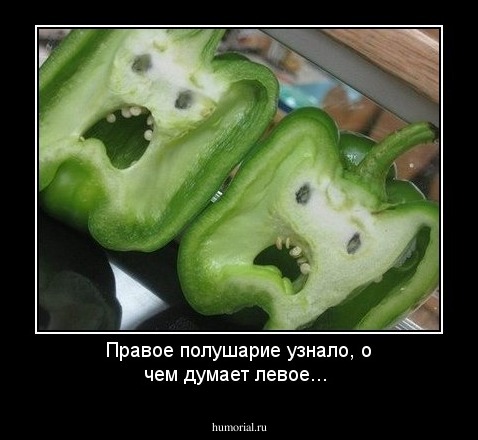 Правое полушарие узнало, о чем думает левое...