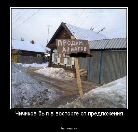Чичиков был в восторге от предложения
