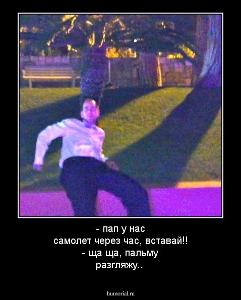 - пап у нас самолет через час, вставай!!
- ща ща, пальму разгляжу..