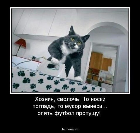 Хозяин, сволочь! То носки погладь, то мусор вынеси... опять футбол пропущу!