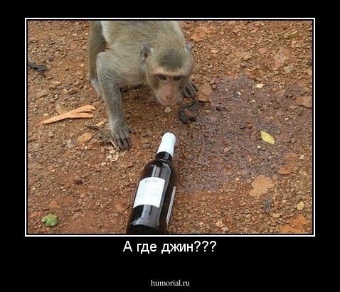 А где джин???
