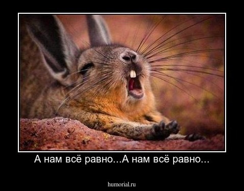 А нам всё равно...А нам всё равно...