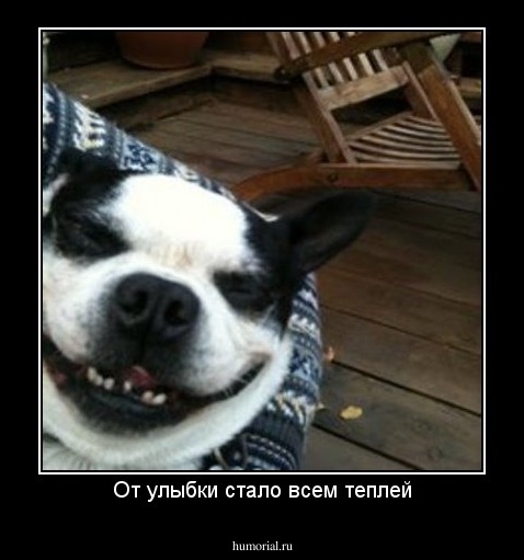 От улыбки стало всем теплей