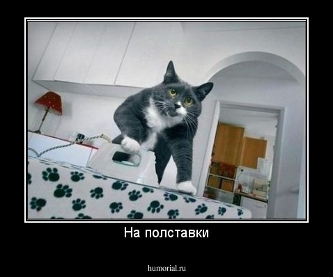 На полставки