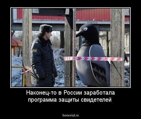 Наконец-то в России заработала программа защиты свидетелей