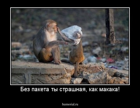 Без пакета ты страшная, как макака!